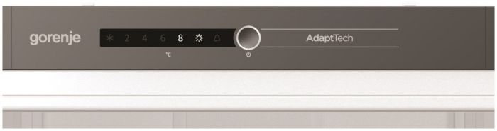 Холодильник Gorenje RI2181A1
